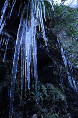 氷柱