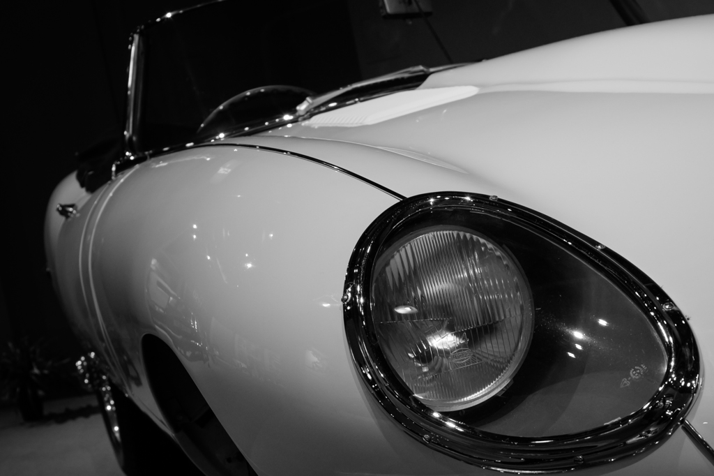 白組～Jaguar E-Type Roadster～