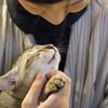 甘えん坊