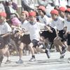 頑張れ、赤組！