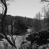 forest park
