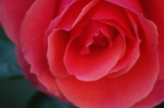 you are so beautiful