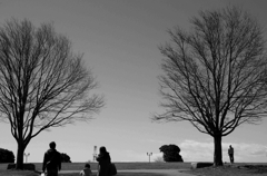 negishi forest park