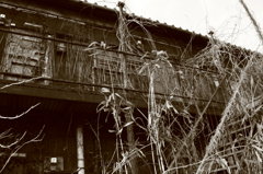 lost palace 3