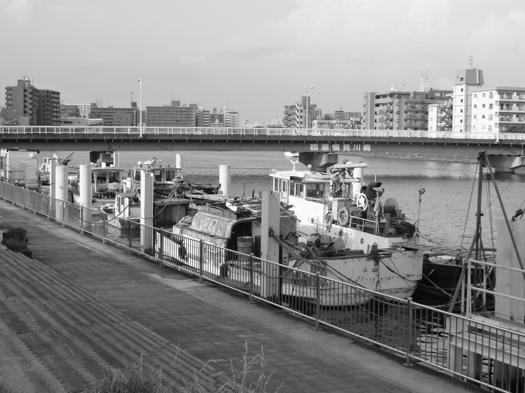 by the river