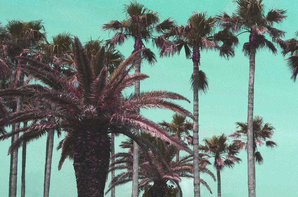 tropical
