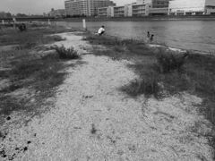 a broken piece of shell