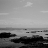 fishing,kannonzaki