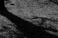 shadow