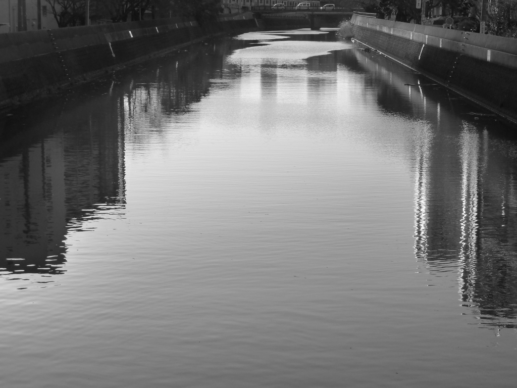 by the river