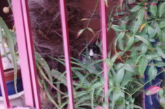 you'll be watching me