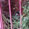 you'll be watching me
