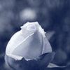 prayer
