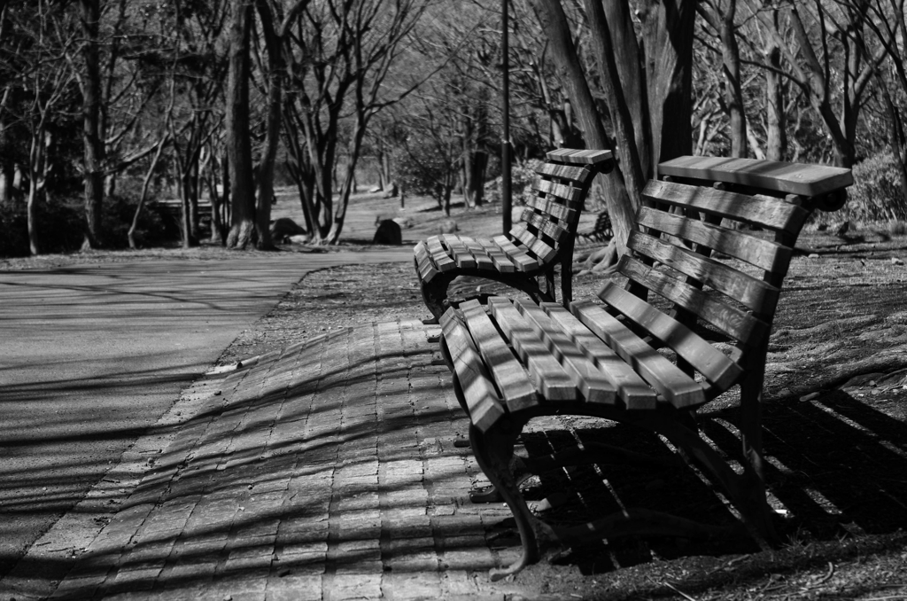 saturday in the park