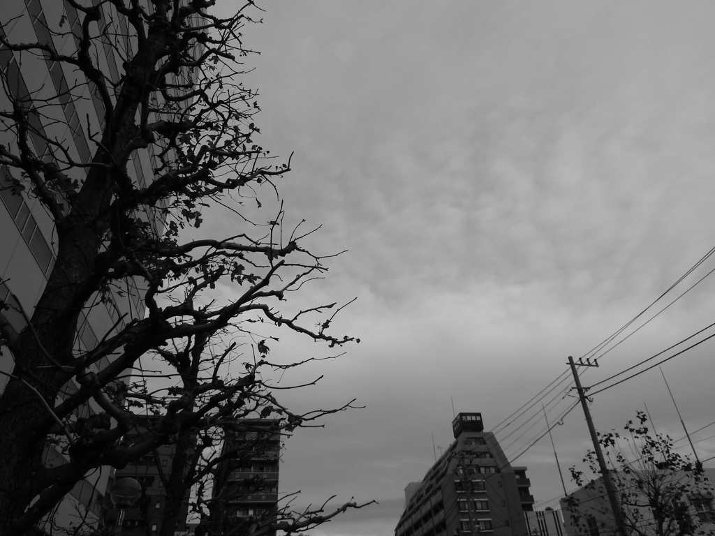WINTER DAYS