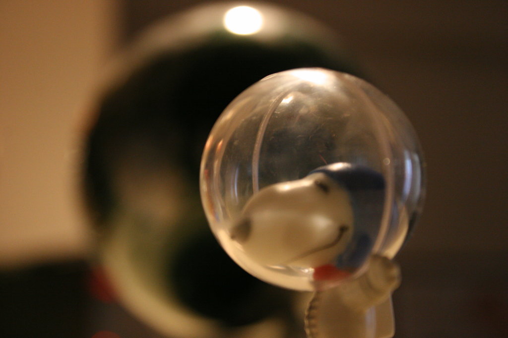 ついにライカ犬が月に到着！