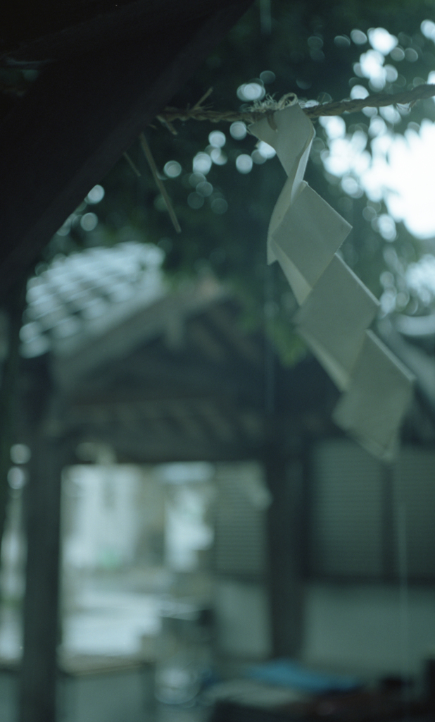 雨と紙垂