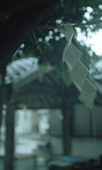 雨と紙垂
