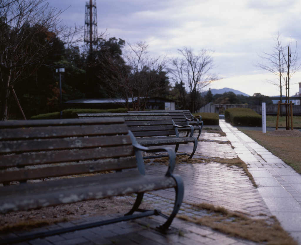 雨上がりのベンチ