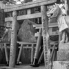 狐の神社