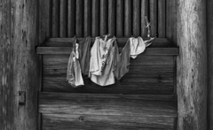 Cotton Drying