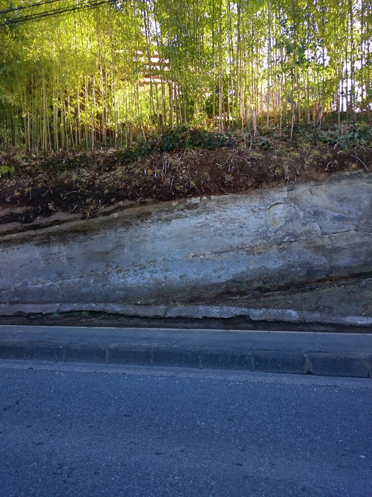 道路脇のカラーリング