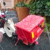 新年の便り