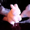 雪のウサギ