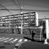 団地の風景