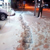雪の小道