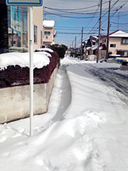 横浜暴風雪？