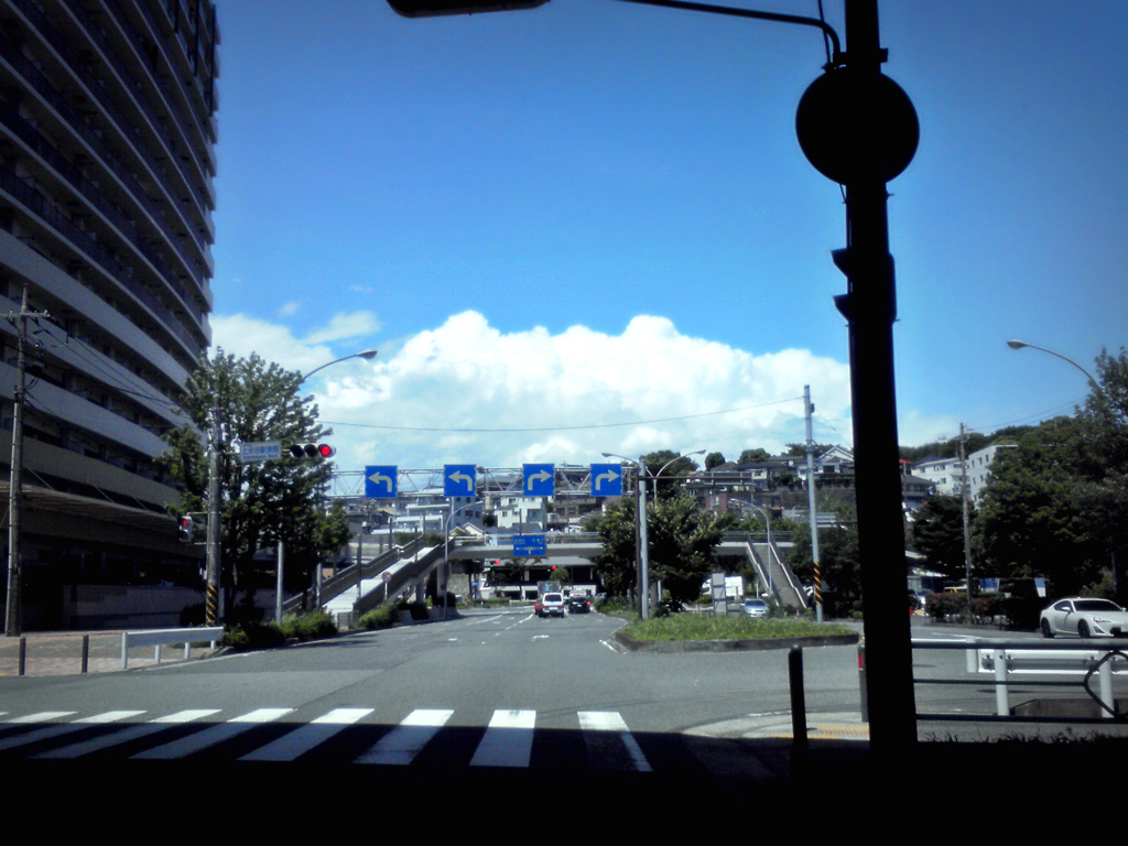 ６月の晴れ間に・・・夏