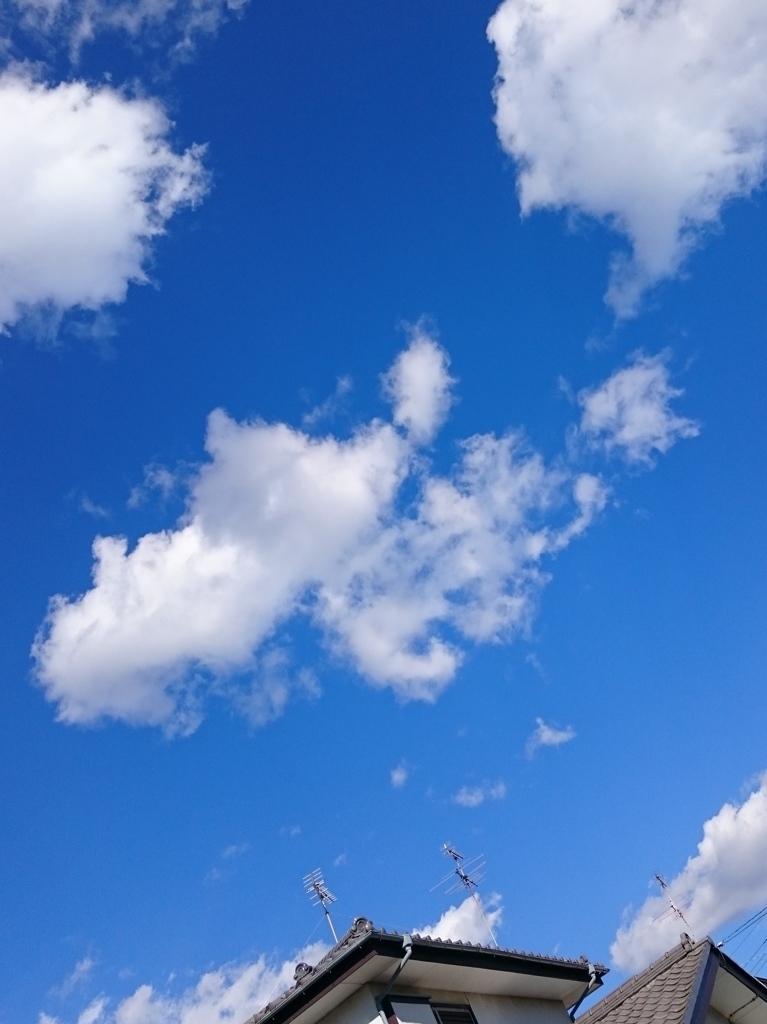 師走の空