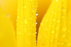 雨上がりの早朝に２