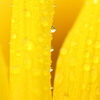 雨上がりの早朝に２