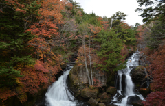 竜頭の滝　2015