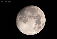 中秋の名月　１　　BORG 71FL