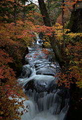 竜頭の滝　2015　その２