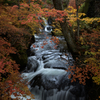 竜頭の滝　2015　その２