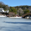 雪の称名寺