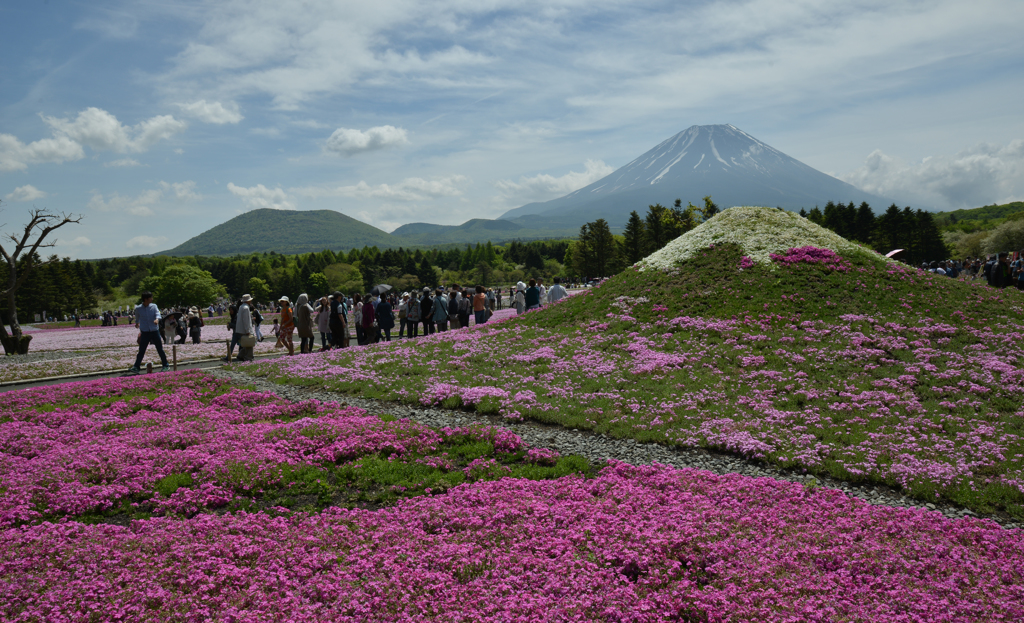 富士山親子