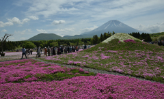 富士山親子
