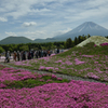 富士山親子