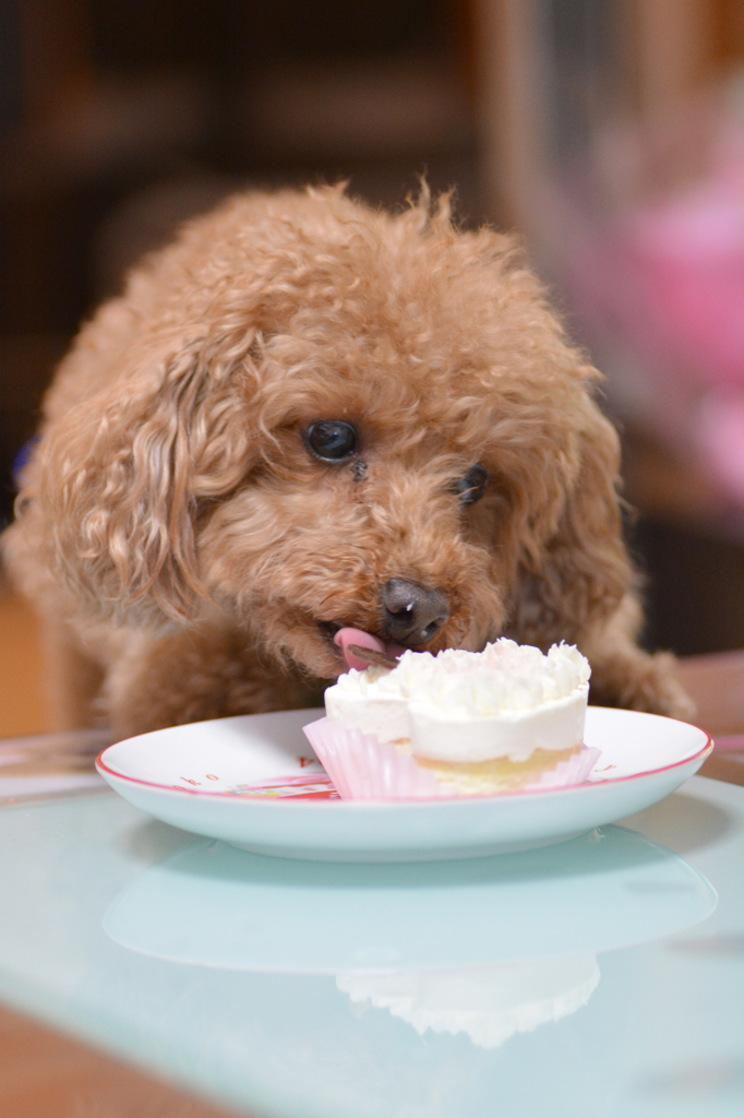 6歳の誕生日