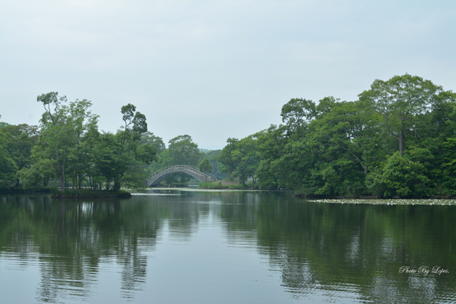 霧の大沼公園