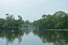 霧の大沼公園