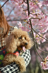 花もいいけど・・・