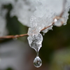 雪の汗