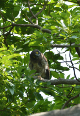 何見てんだよ～！