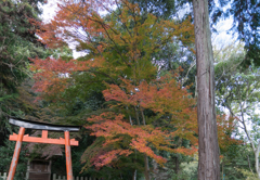 宝積寺・帰途①
